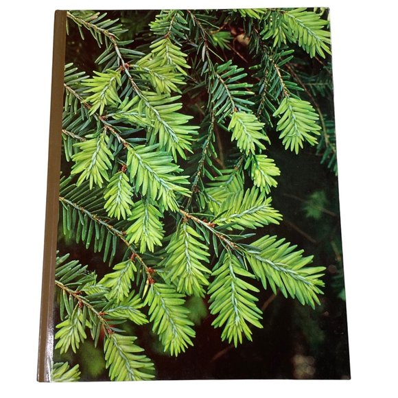 How to Growing Evergreen Plants and Trees Time Life Encyclopedia of Gardening u - Picture 1 of 10